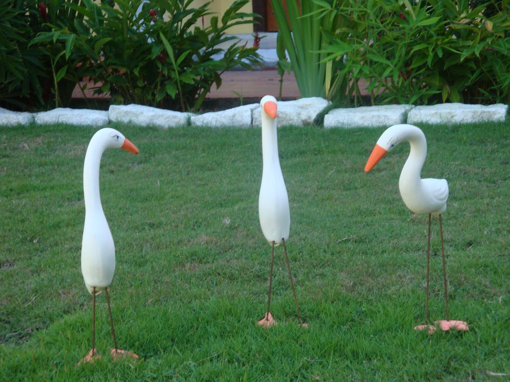 Hotel Porto Garden Porto Seguro Exterior photo